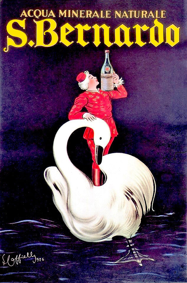 S. Bernardo – The Purity of Elegance, The Whimsy of Delight