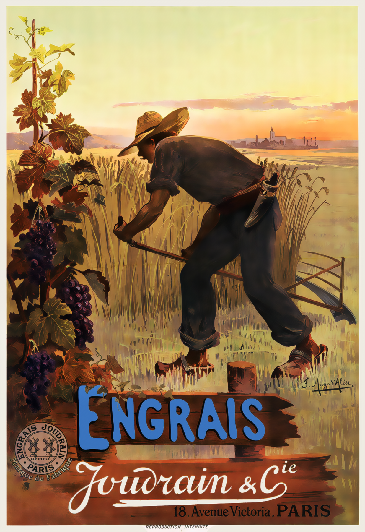 The Golden Hour of the Fields – A Tribute to the Noble Art of Cultivation