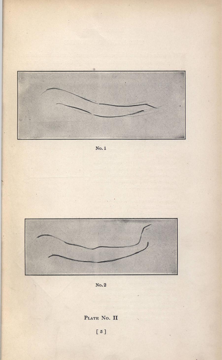 Figure Construction and Classical Life Drawing: A Master’s Guide to Anatomy, Proportion, and the Structure of the Human Form