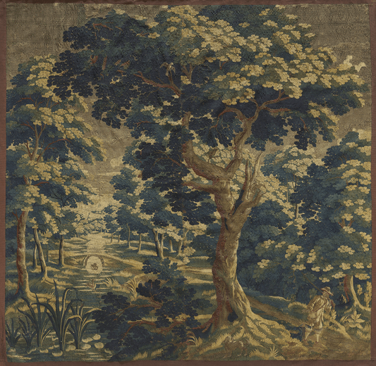 The Philosopher’s Grove: A Verdure of Light, Journey, and Quiet Destiny RE746567