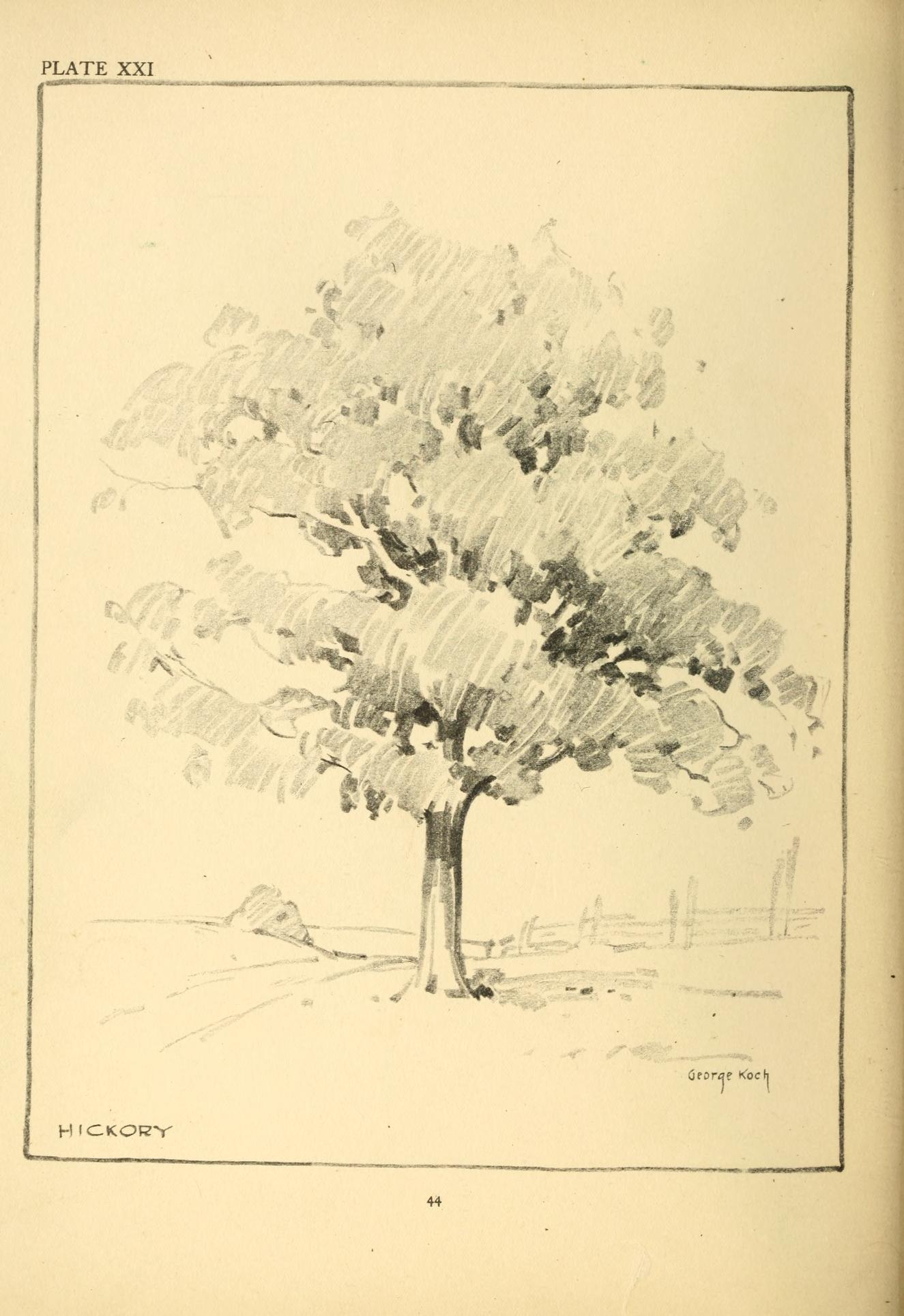 Pencil Sketching Mastery: A Classical Guide to Stroke Technique, Shading, and Observational Drawing for Timeless Artistic Skill
